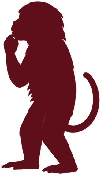 Weinroter Affe, nachdenklich, die Hand am Kinn